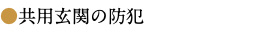 ●共用玄関の防犯