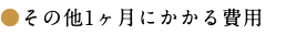 ●その他1ヶ月にかかる費用